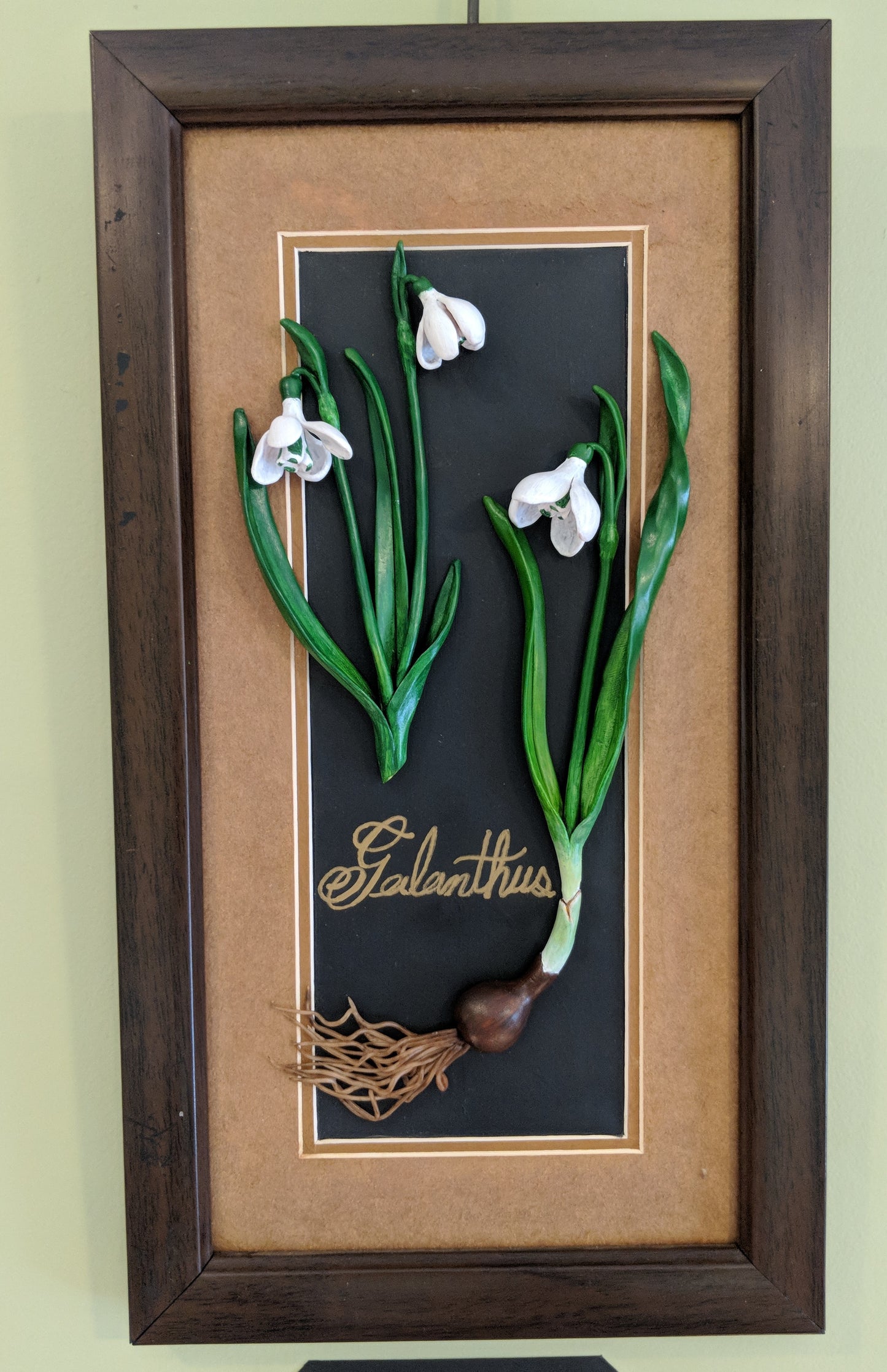 Snow Drops