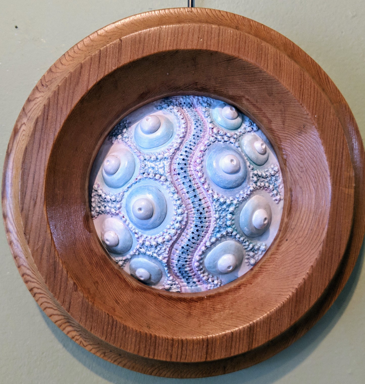 Sea Urchin Ocean Creatures