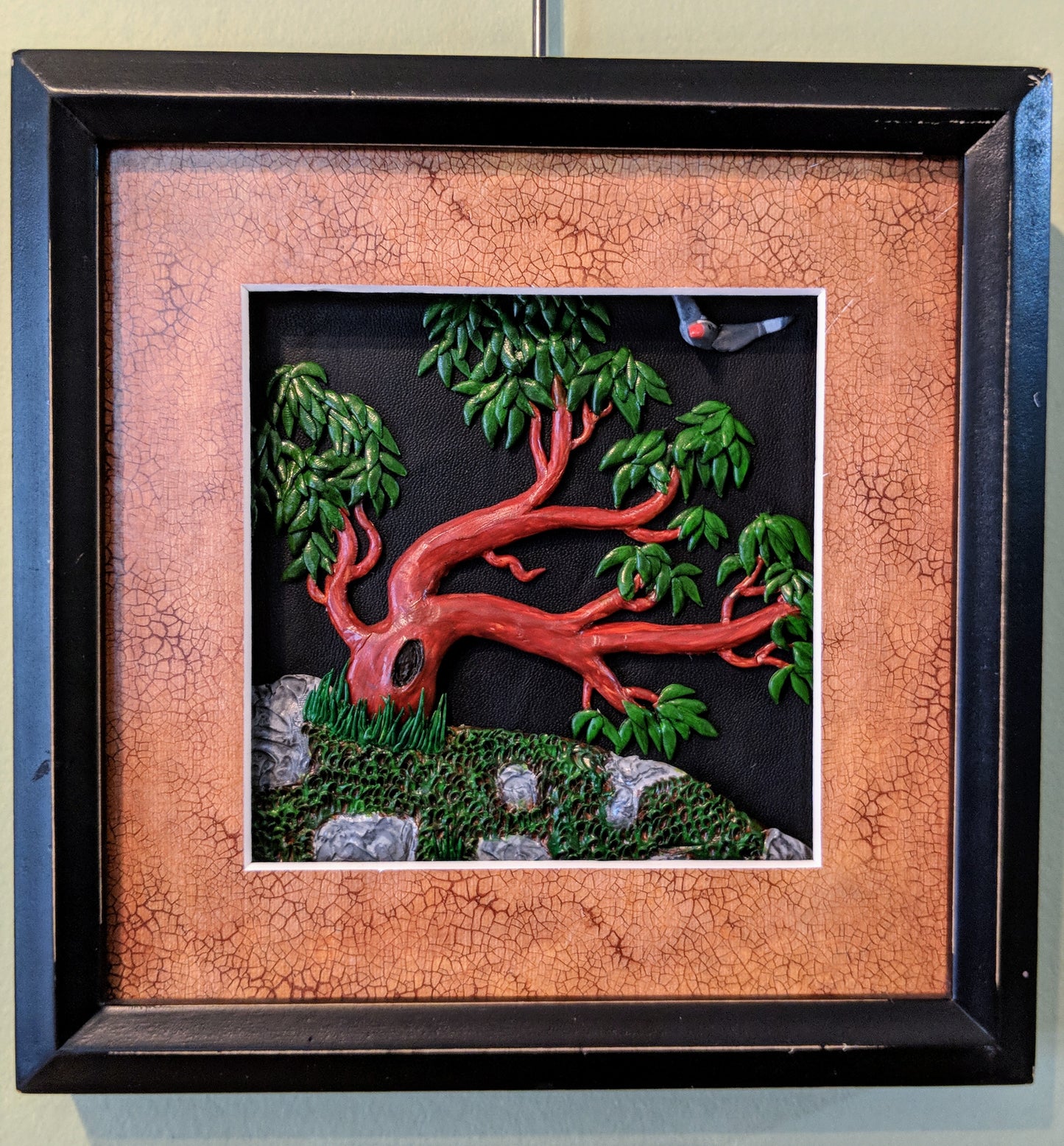 Arbutus