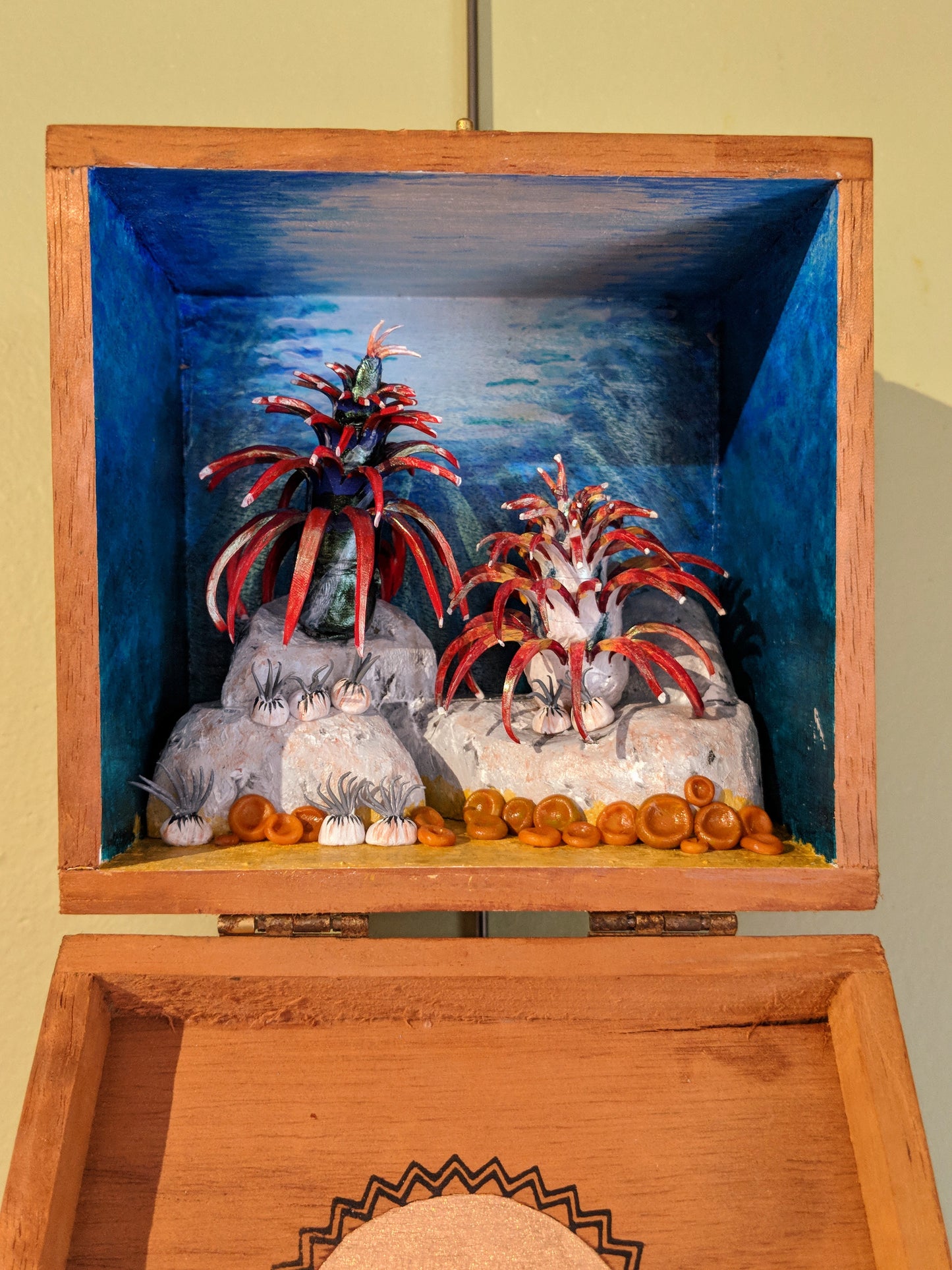 Spirobranchus Ocean Creatures